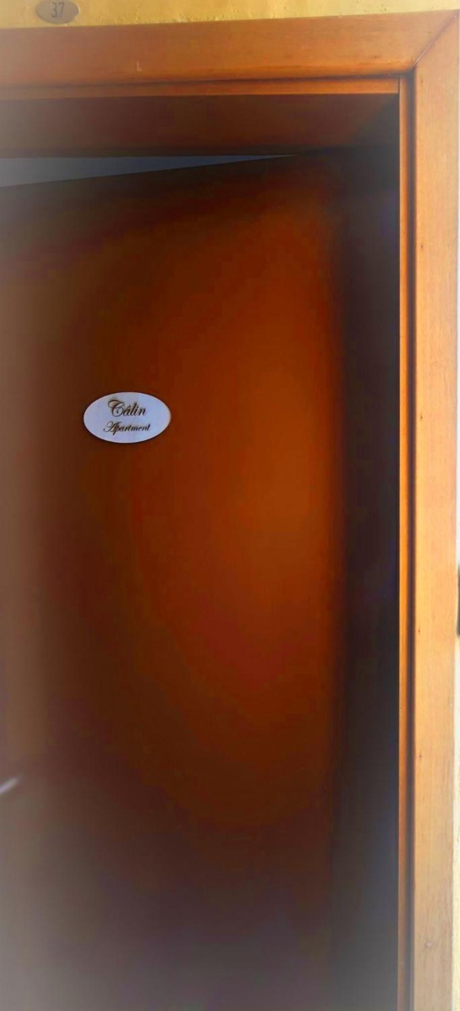Calin Apartment تورينو المظهر الخارجي الصورة
