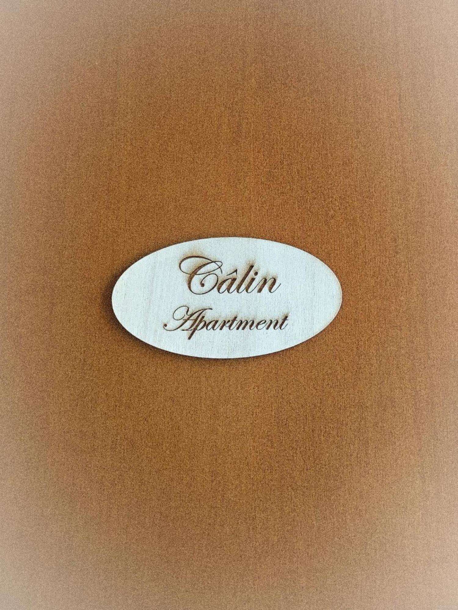 Calin Apartment تورينو المظهر الخارجي الصورة