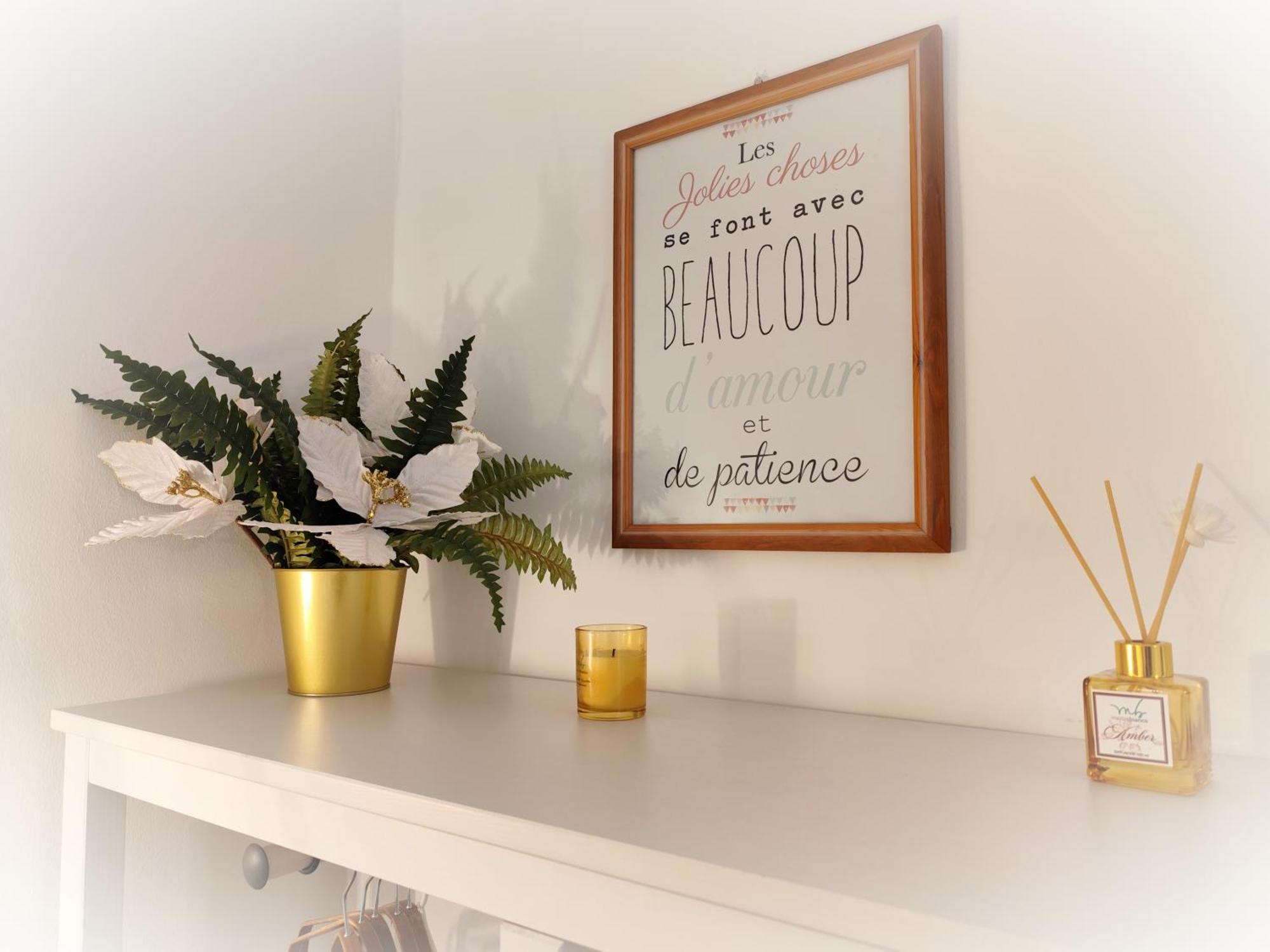 Calin Apartment تورينو المظهر الخارجي الصورة